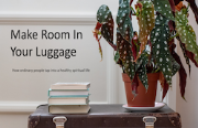 Making Room in Your Luggage